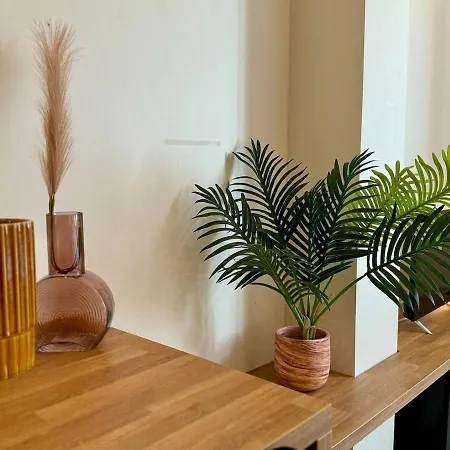Apartment Coachela Lyon